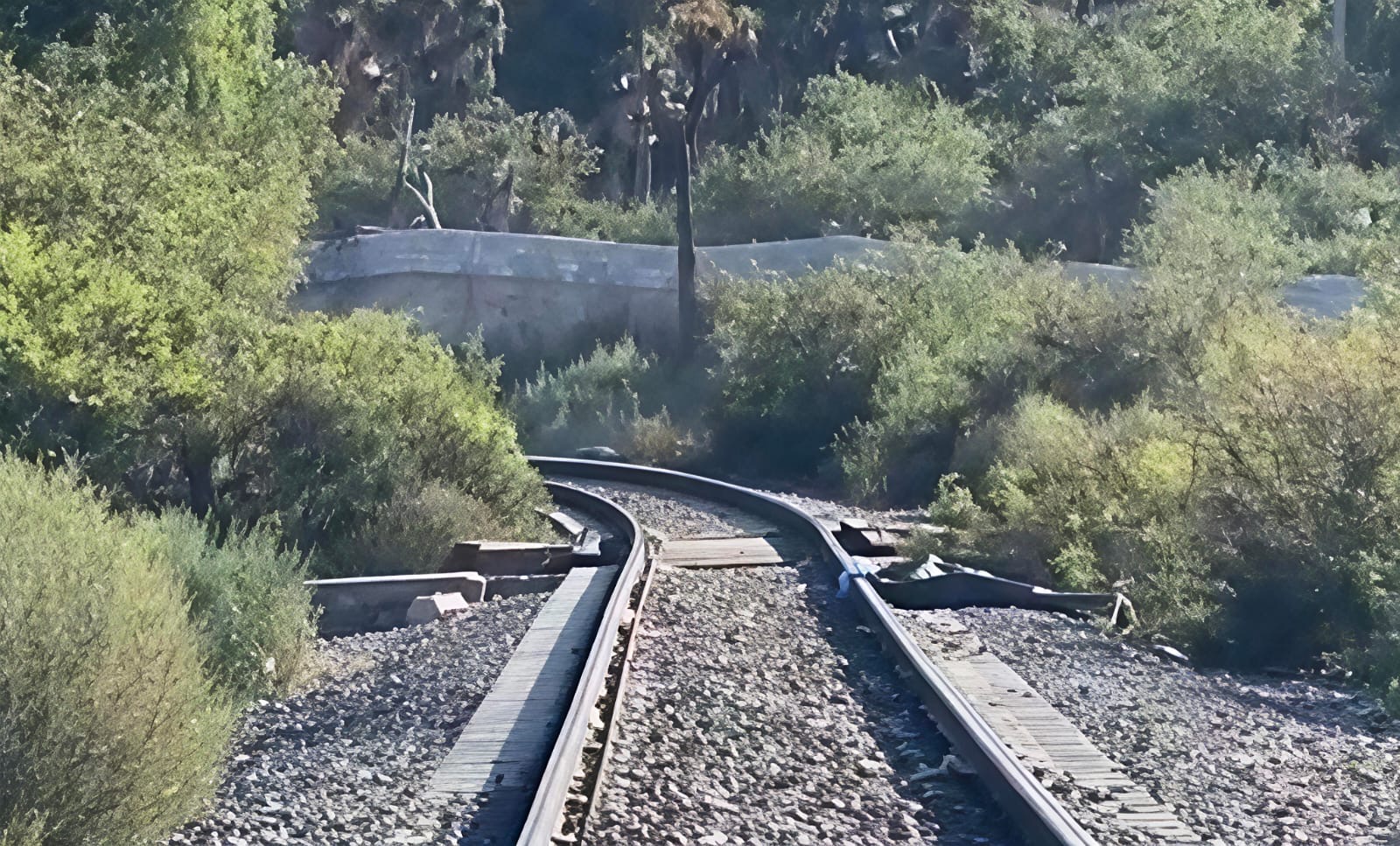 Joven muere tras ser arrollado por el tren en Saltillo