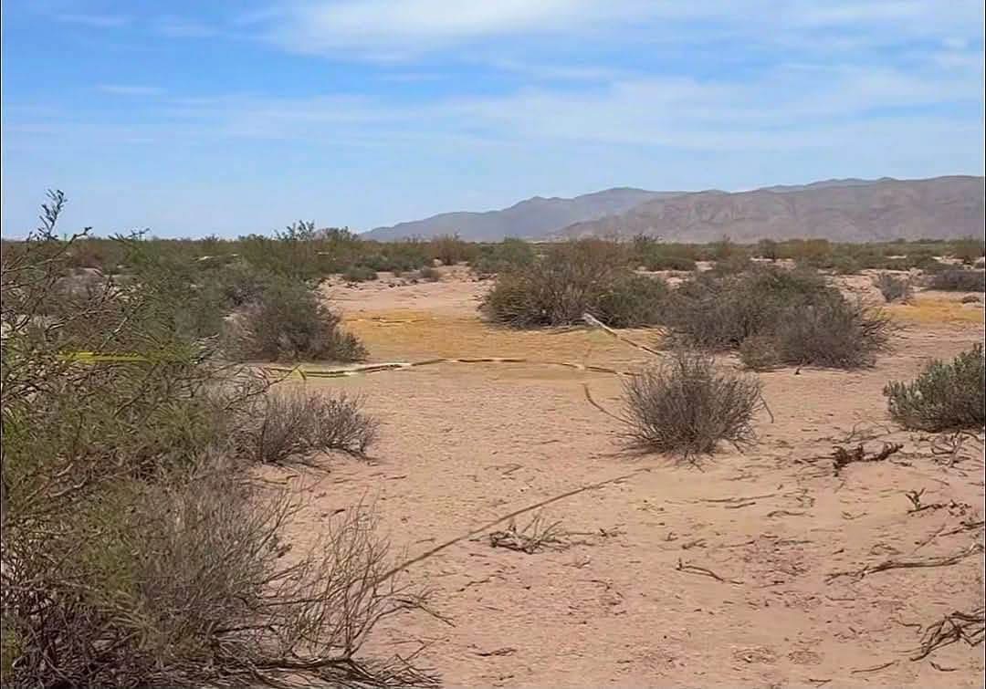 Localizan sin vida a comerciante desaparecido en Viesca